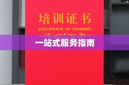 大城一站式服务指南