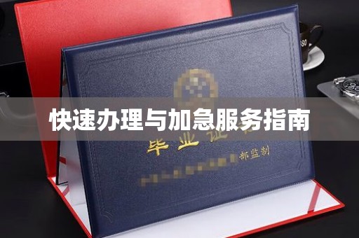 大城快速办理与加急服务指南