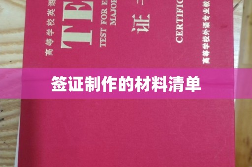大城签证制作的材料清单