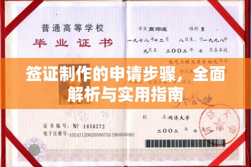 大城签证制作的申请步骤，全面解析与实用指南