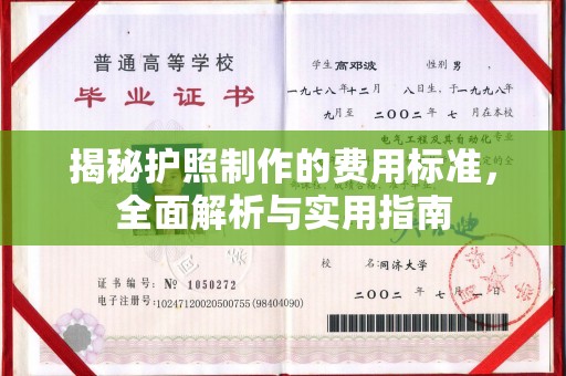 大城揭秘护照制作的费用标准，全面解析与实用指南