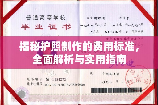 大城揭秘护照制作的费用标准，全面解析与实用指南