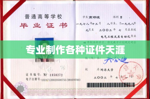 大城专业制作各种证件天涯