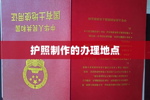大城护照制作的办理地点