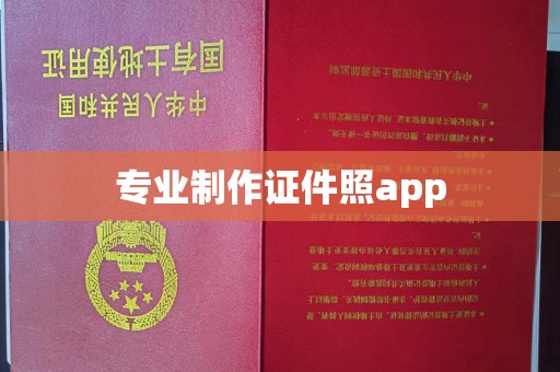 大城专业制作证件照app