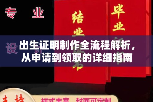 大城出生证明制作全流程解析，从申请到领取的详细指南