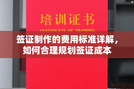 大城签证制作的费用标准详解，如何合理规划签证成本